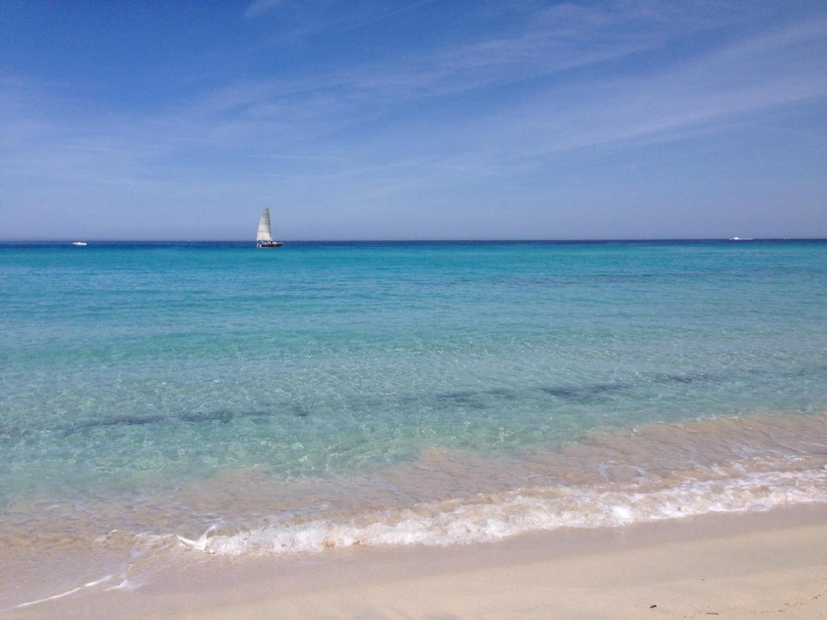 Domaine A Mortella T3 Saint-Florent  Dış mekan fotoğraf